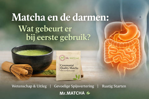 Matcha en de darmen: wat gebeurt er bij eerste gebruik?